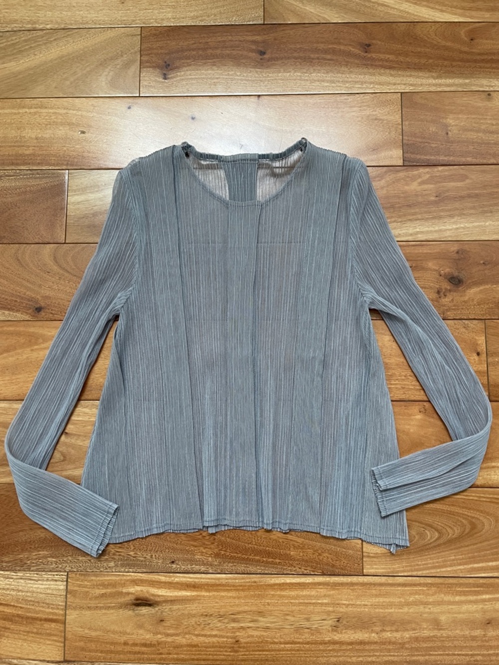 Japanese Issey Gray Sheer Pleated Top Blouse XS